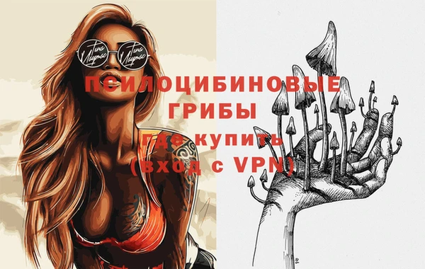 героин Покачи