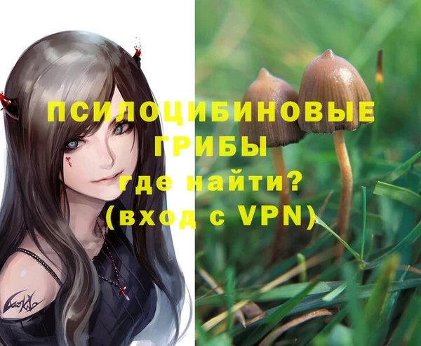 молекула духа Лагань