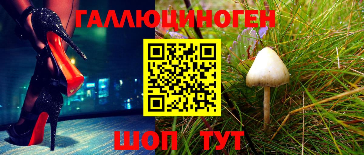 Галлюциногенные грибы Psilocybine cubensis Людиново