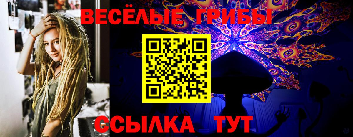 Галлюциногенные грибы MAGIC MUSHROOMS  Вход с VPN  Людиново 